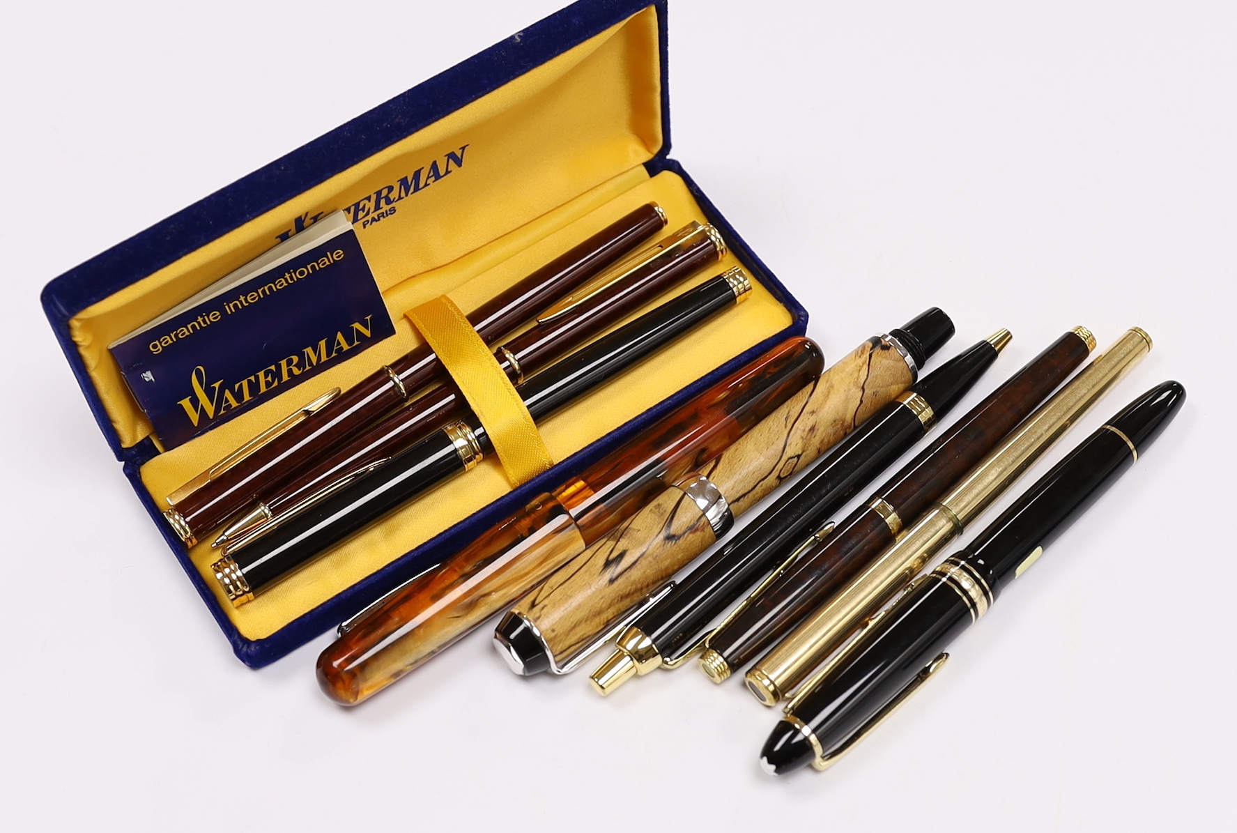 A group of various ball point and fountain pens including a Montblanc Meisterstuck 446, Parker, Watermans etc.